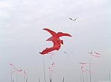 Cervia 2011-242